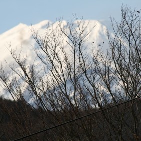 富士山雪景色